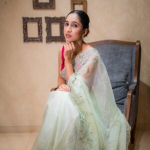Mint Green Net Saree